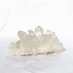 ENTIRE NATIVE HART CRYSTAL COLLECTION