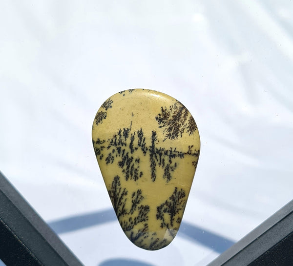 Dendritic Opal - Reflections