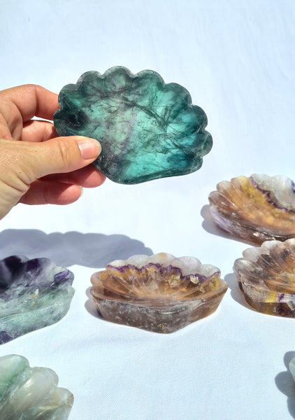 Flourite Bowls -Shell Shape