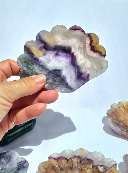 Flourite Bowls -Shell Shape