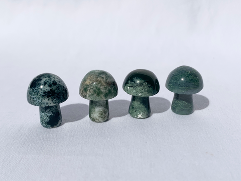 Mini Mushrooms - multiple options